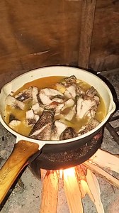 Let's cook mudfish 😆 #cooking | Sammy’s art and mix blog