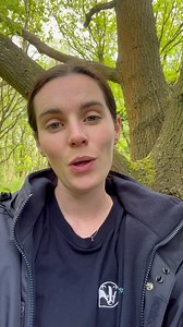 Why are non-native invasive species a problem? Lauren is here to tell us why, for day 3 of Non-Native Invasives Species Awareness Week ️ #INNS | Essex Wildlife Trust | Facebook