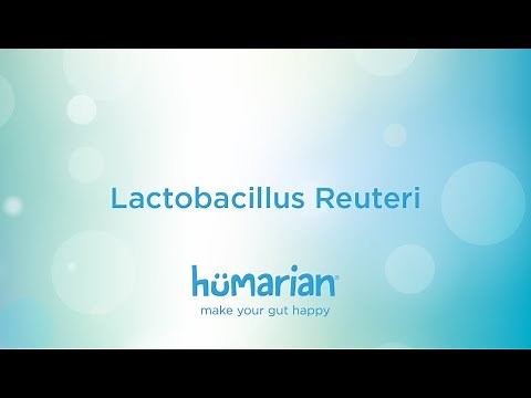 Lactobacillus Reuteri