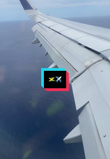 Jamaican Woman's First Time Flying on a Plane