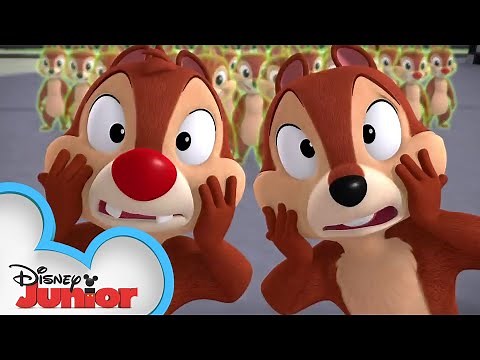 All Goofed Up! | Chip 'N Dale's Nutty Tales | Disney Junior