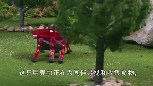 《赫宝星球》 第一集 蝎子