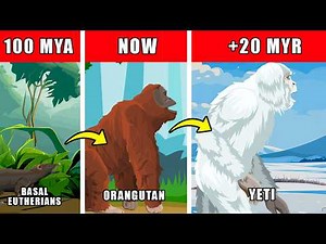 Yeti Origin Evolution: How Yeti Could Have Evolved