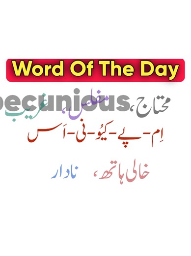 Understanding Impecunious: Definition and Usage