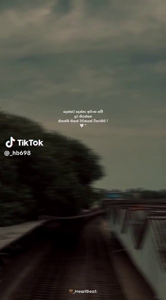 Engaging TikTok Status Ideas for Creative Expression