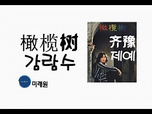 [중국노래]한글가사/해석/자막/병음 제예(齐豫)의 감람나무(橄榄树 감람수)