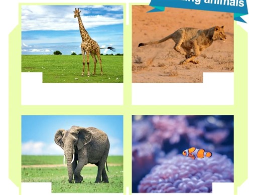 P33 Unit 3 B Start to read PEP三年级英语新教材课文动画 【官方版】