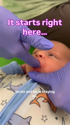 Holly Grabert*Feeding Specialist*Online Virtual Coaching | ✨ Here 👇 comment “CONNECT” for instant access to The Feeding Connections Collection — step-by-step tools for early oral skill building!✨ 💙... | Instagram