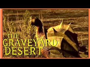 TFIW S1E11 Graveyard Desert: The Future is Wild