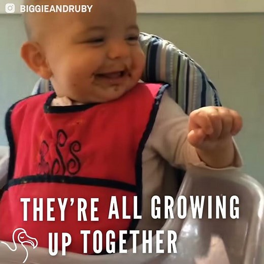 Little Girl Is Growing Up With Two Giant Dogs