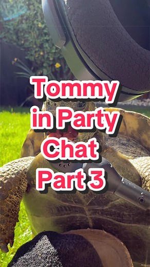 Tommy in Party Chat Part 3: Funny Turtle Moments