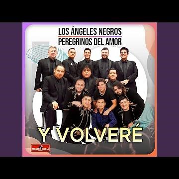 Y Volveré