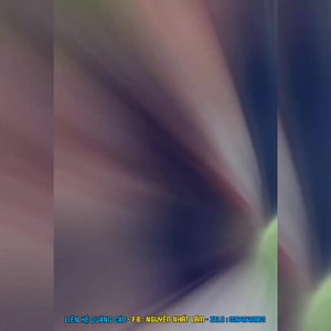 92 RacingTeam on Reels