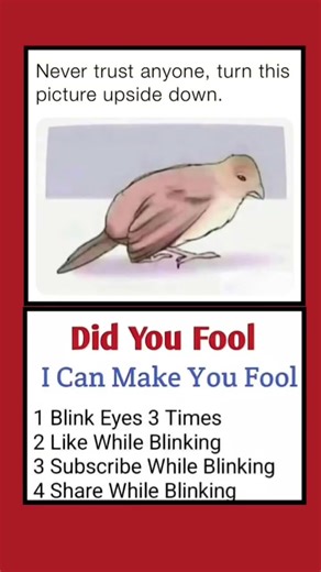 Did u ..?🫣#dance#kpop#edit #dancer#straykids#memes #strangerthings#funnymemes #memesworldofficial