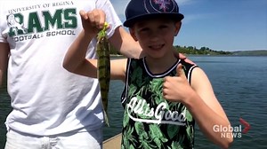 WATCH: It's free to fish across Saskatchewan this weekend. Fishing expert Jason Matity joined Global News Morning sharing pointers for anyone looking to get out on the water. More morning news videos: https://trib.al/J3uCl3K | Global Saskatoon | Facebook