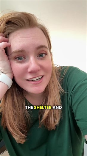 Finding Forever Homes for Foster Dogs