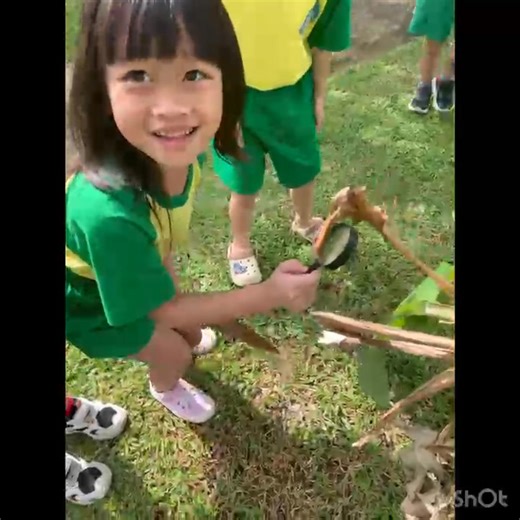 Outdoor Learning : ☘️🌿Children explore and observe the diversity of leaves using magnifying glasses. 🕵🏻‍♂️ Develop observational and fine motor skills through drawing and leaf rubbing.🌳🌴 #OutdoorLearning #LeafExploration #FineMotorSkills #LeafRubbing #K3B | Little Learners Preschool