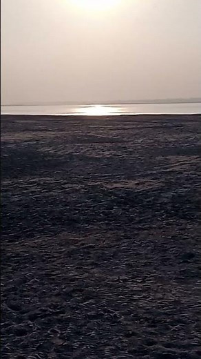 jobz hunting viral video pakistan