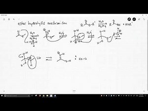 mechanism of ester hydrolysis