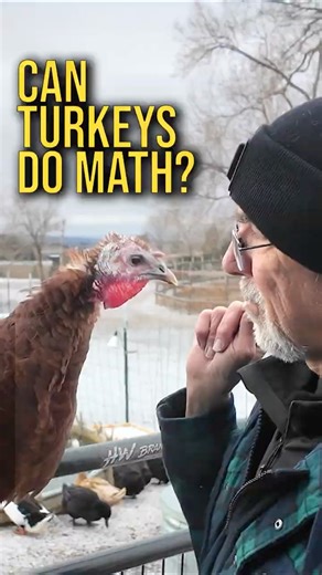Turkey Math in the Snow?!