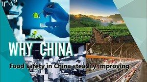 After years of hard work, food safety in China has steadily being improved. Public satisfaction with food safety has considerably raised. From the farmland to the dining table, China is building strict supervision and governance system covering the entire industrial chain. By 2035, China endeavors to have its food safety criteria and ability to manage food safety risks ranked among the top in the world. #WhyChina | CGTN