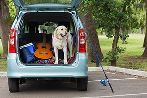 11 Best Places to Explore On a One-Day Trip from Kolkata