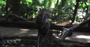 Video by Mikhail Nilov on Pexels