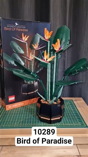 Lego Botanical Collection 10289 - Bird of Paradise - Speed Build - #lego #shorts #legobirdofparadise
