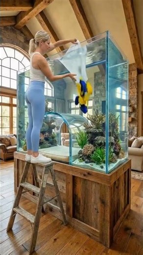 Aquarium With a Cat Tunnel 🐱 Stunning Luxury Fish Tank Design for Cat Lovers & Home Decor