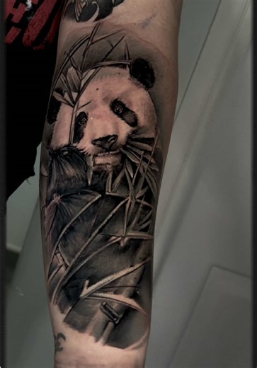 Hyper-realistic panda tattoo with bold black and grey realism 🐼 This detailed forearm tattoo features a realistic panda surrounded by bamboo, using smooth shading, strong contrast, and fine line realism to bring the piece to life. A perfect example of animal realism tattoo work and black and grey tattoo artistry, designed to flow naturally with the arm. Looking for a custom realism tattoo in Thailand, Bali or Vietnam? DM us to book a consultation with our artists at ink.inc Tattoo. #realismtatt