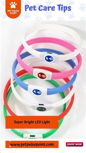 Best LED Dog Collar for Night Walks 🐕 | USB Rechargeable & Waterproof #doglife #dogtoy #pets #toys