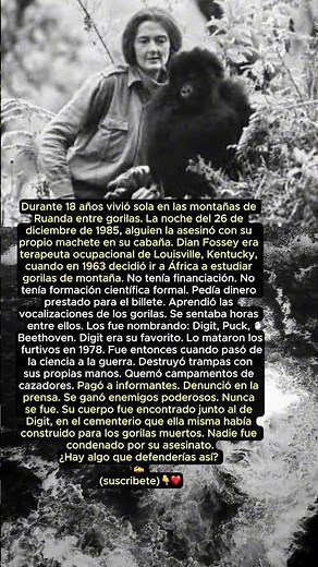 Dejó su vida por los gorilas de montaña...