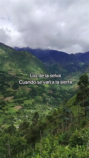 The Humor of Jungle and Highland Life