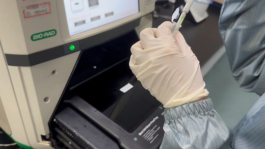 Biorad成像仪Western Blot （WB）化学发光成像步骤