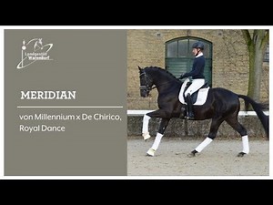 MERIDIAN