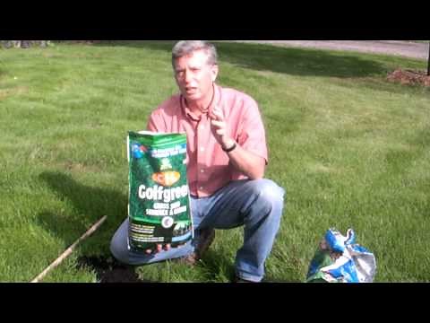 How To Repair Bare Spots in the Lawn