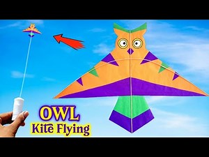 Paper Owl kite , How to make a bird kite , Flying homemade kite
