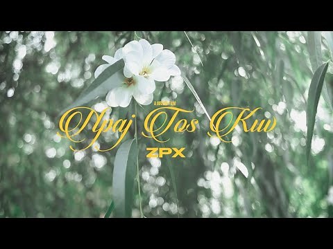 Npaj Tos Kuv - Zong Pha Xiong (ZPX)