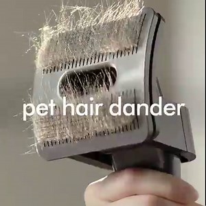 Pet grooming, covered. Dirt particles and allergens cling to hair. That’s why Dyson engineers have developed the Pet groom tool to capture loose hairs as you groom your furry friend. Share how you use yours through #PetsofDyson | Dyson