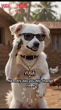 Hilarious moments btw VYRO and VUGA compiled series 😂#viral #dog #relatable #shorts #comedyshorts