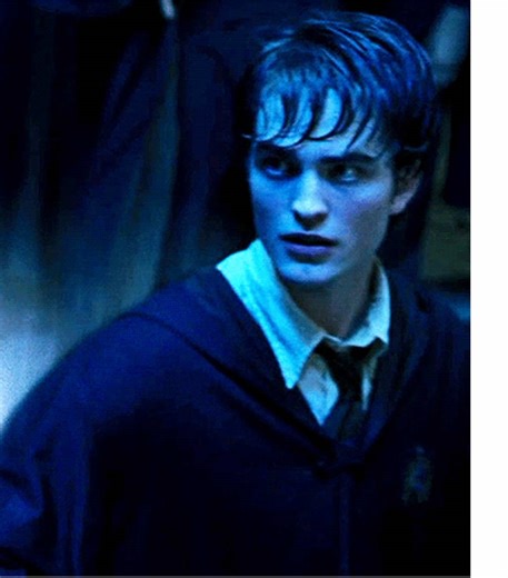 Exploring Cedric Diggory's Journey in Harry Potter