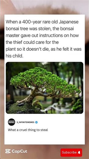 When his 400-year-old bonsai was stolen, the master shared care tips so it wouldn’t die#trending