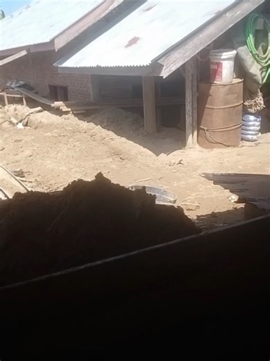 Banjir Bandang di Aceh: Dampak dan Solusi