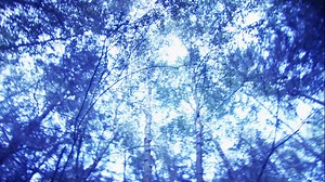 On December 26, 1980, a UFO crash site in Suffolk Country, England has become one of Britain's most famous UFO encounters in this clip from Ancient Aliens. | The Unxplained Zone