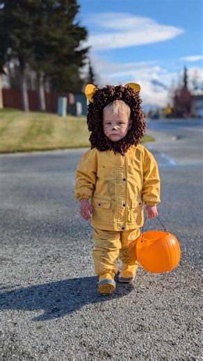 Got rain in the forecast for this Halloween? This lion is the perfect no-sew DIY Halloween costume for your kids! To make the mane, wrap brown yarn around your hand about 30 times. Cut a smaller piece of yarn and tie it around the center of the loops to secure. Cut through the ends of the loops to make a pom-pom, fluff, and trim as needed. Repeat until you have enough pom-poms to frame your child’s face. Cut six pieces of yarn, long enough to wrap around your kids head and tie at the chin. Braid