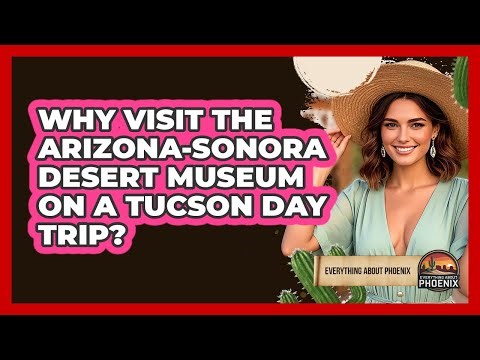 Why Visit The Arizona-Sonora Desert Museum On A Tucson Day Trip? - Everything About Phoenix