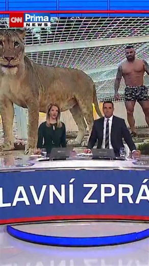 495K views · 4.9K reactions | Bojovník Karlos Vémola je už přes týden...