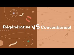 Tout commence par une graine : agriculture conventionnelle vs agriculture bio-régénérative
