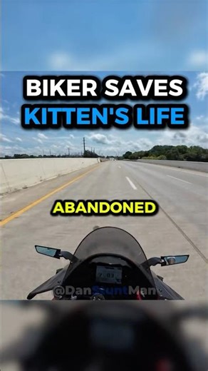 Biker Saves Kitten's Life!