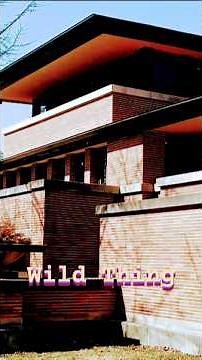 Frank Lloyd Wild